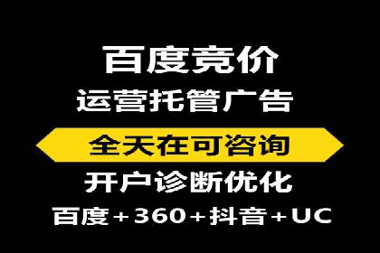 成功案例：网络推广与竞价广告的完美结合